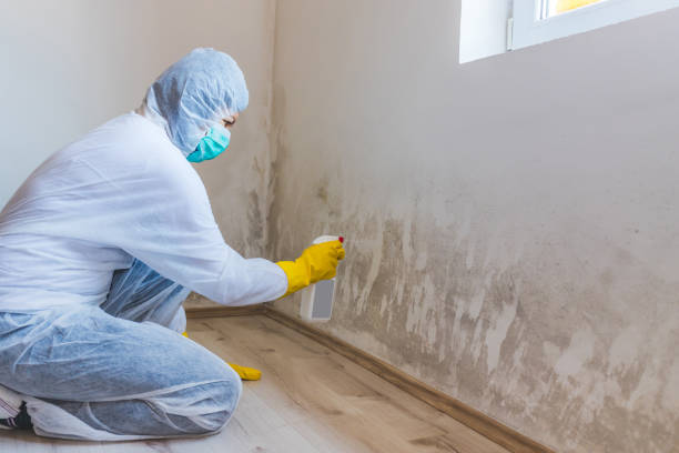 Licensed Crawl Space Mold Removal service in Redmond, WA - WQB Mold Removal
