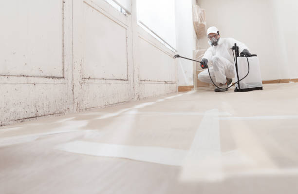 24/7 Emergency Crawl Space Mold Removal experts in Redmond, WA