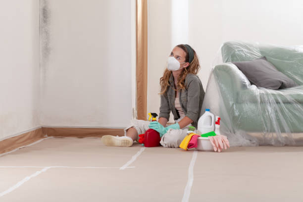 Reliable Crawl Space Mold Removal contractor in Redmond, WA by WQB Mold Removal